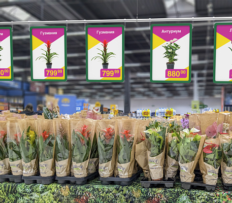 Заглушка пластиковая для профиля AIRTRACK AIR-CAP